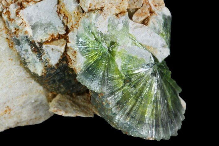 Radiating, Green Wavellite Crystal Aggregation - Arkansas #127093